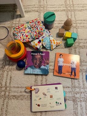 Lovevery explorer play kit (old version) 9-10mos